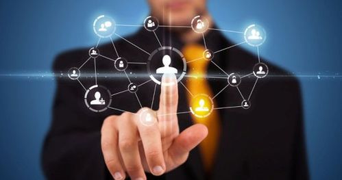 藍奧信息 突破招商困局，賦能招商技巧的信息技術(shù)咨詢服務(wù)